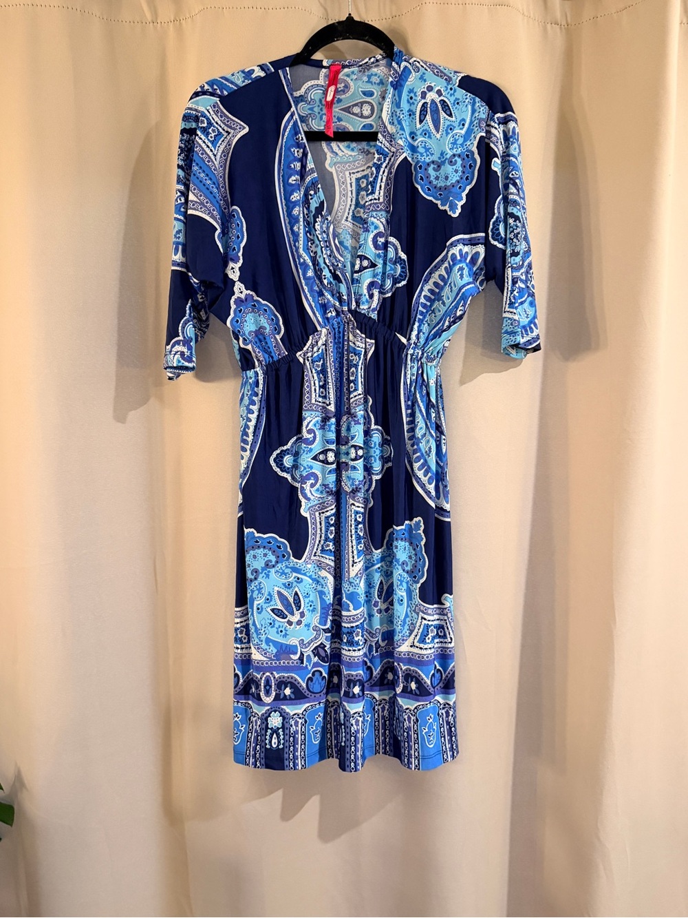 Cristina Love Blue Paisley V-Neck Women’s Dress
